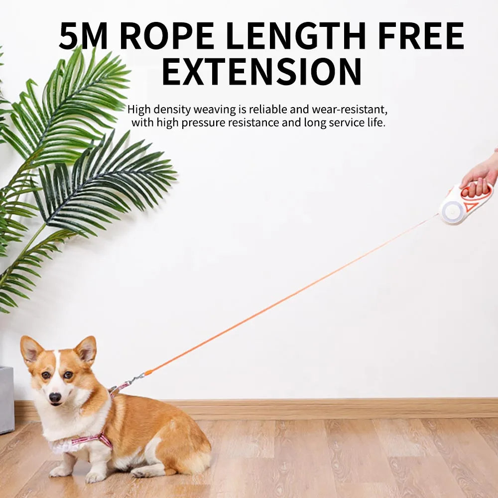 LED Retractable Dog Leash - 5M, One-Hand Brake & Lock System