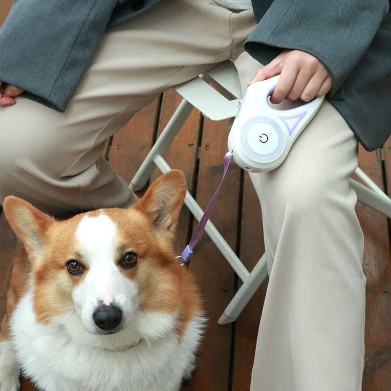 LED Retractable Dog Leash - 5M, One-Hand Brake & Lock System